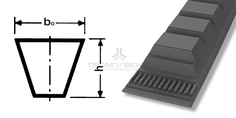 ремень xpa 2832