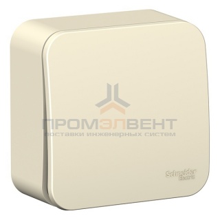 Выключатель 1-клавишный (cх.1) Blanca Schneider Electric 6А 250В молочный изол.пластина