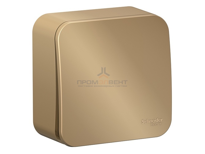 Выключатель 1-клавишный (cх.1) Blanca Schneider Electric 10А 250В титан изол.пластина