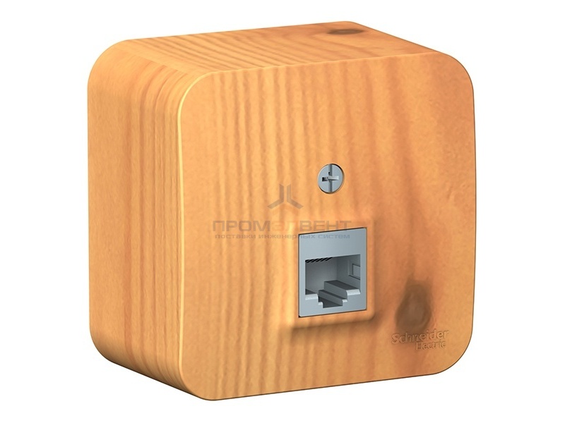 Розетка компьютерная RJ45 кат.5E Blanca Schneider Electric ясень изол.пластина